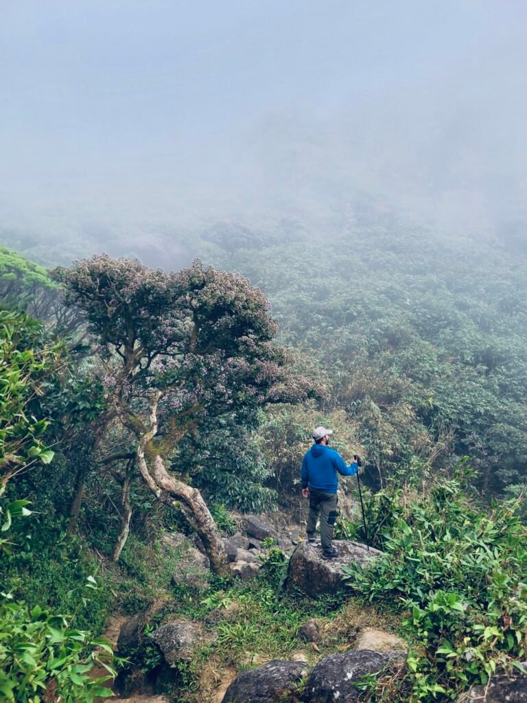 On the Agasthyarkoodam trail, photo from KeralaTrekking