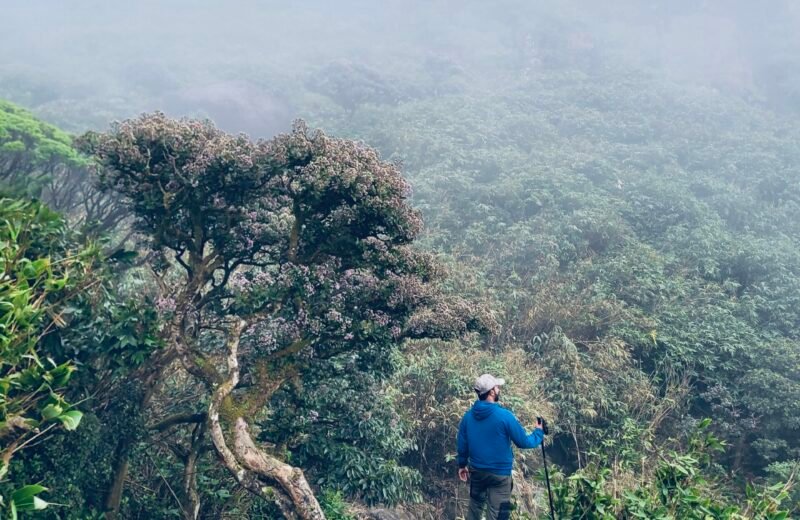 On the Agasthyarkoodam trail, photo from KeralaTrekking