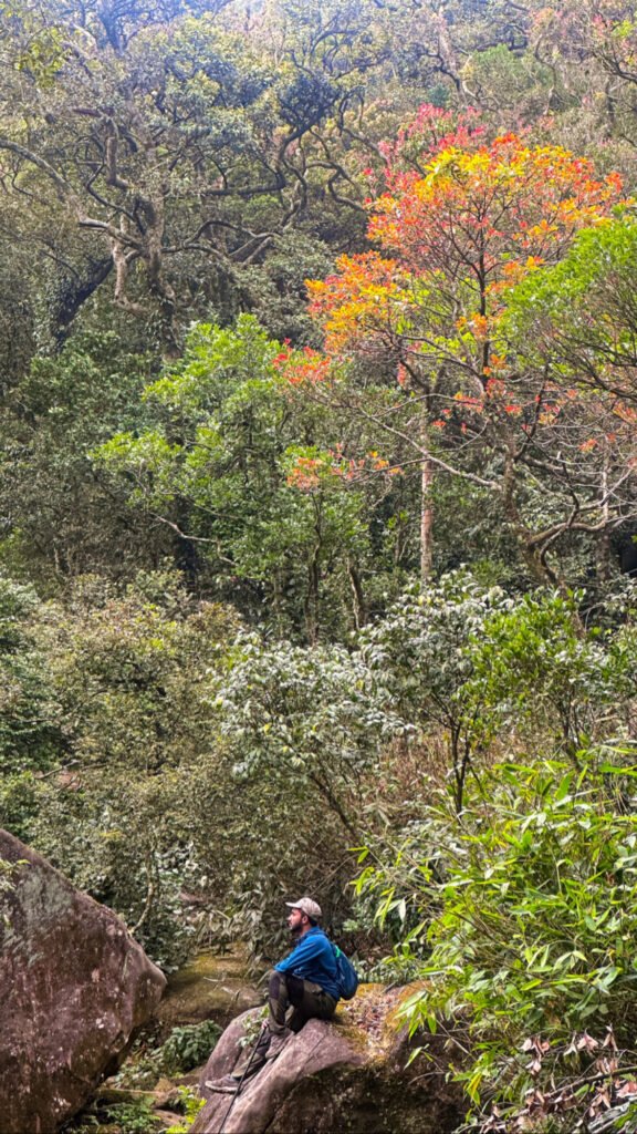 Agasthyarkoodam trek, photo from KeralaTrekking
