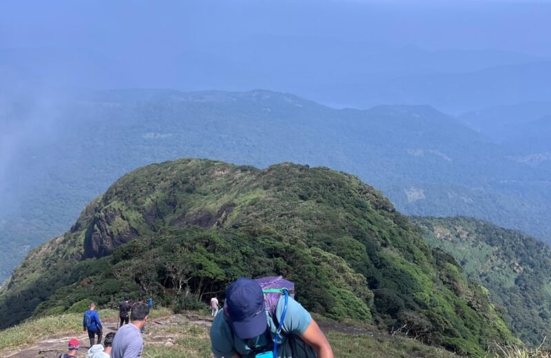 Agasthyarkoodam trek photo from KeralaTrekking, 2026