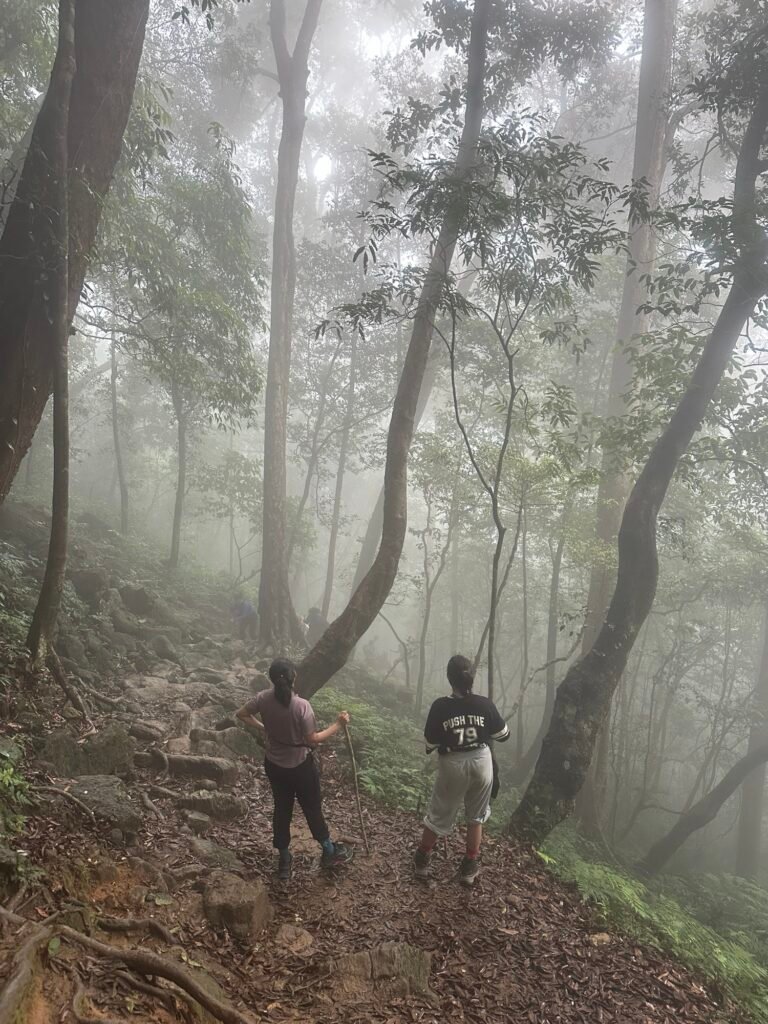 Agasthyarkoodam trek photo from KeralaTrekking, 2026