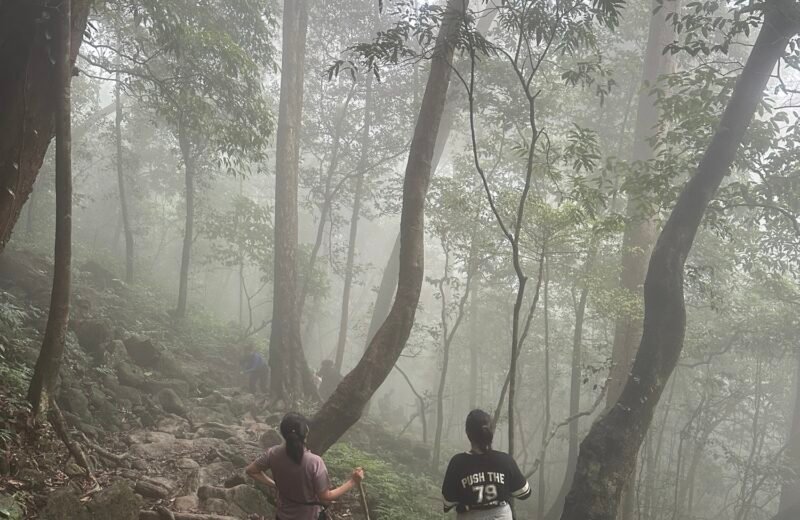 Agasthyarkoodam trek photo from KeralaTrekking, 2026